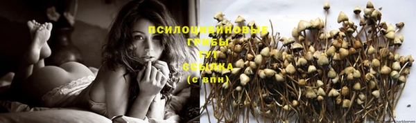 прущий лед Санкт-Петербург