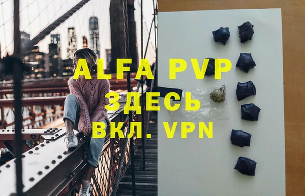 сатива Ессентукская