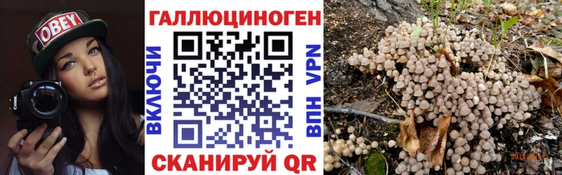 купить   Ленинск  МЕГА ONION  Псилоцибиновые грибы GOLDEN TEACHER 
